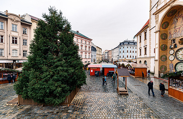 Na ozdoby už nezbyly peníze? Vánoční sekvojovec v Olomouci je terčem kritiky