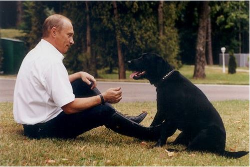 Putin se omlouvá Merkelové, že na ni kdysi pustil psa. Prý už to nikdy neudělá