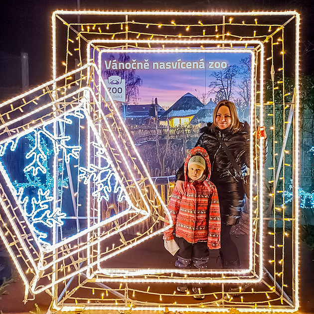 OBRAZEM: Světýlka v zoo, anděl s harfou i posezení v baňce. Jižní Čechy září Vánoci