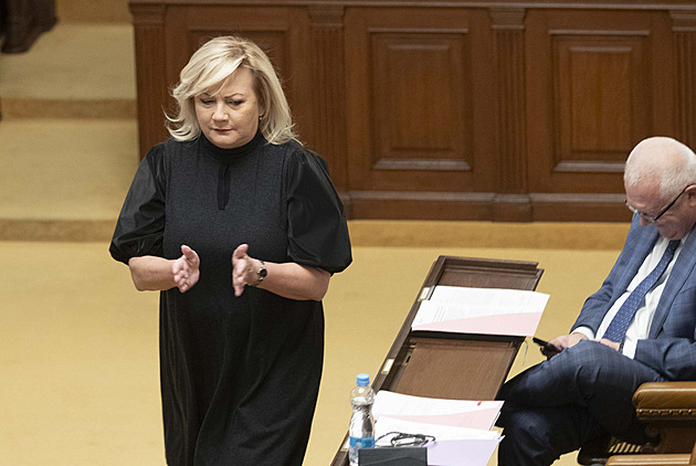 Zchudnou obce od Aše po Jablunkov, varuje Schillerová. Politici se přou o daně