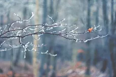 Meteorologové varují před námrazou