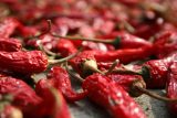 Globální oteplování snižuje podle vědců pálivost chilli papriček. Ovlivňuje i chuť kávy a kokosových ořechů