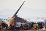 Pilot letadla hlásil před havárií v Jižní Koreji střet s ptáky. Úřady zvažují prohlídky 101 boeingů