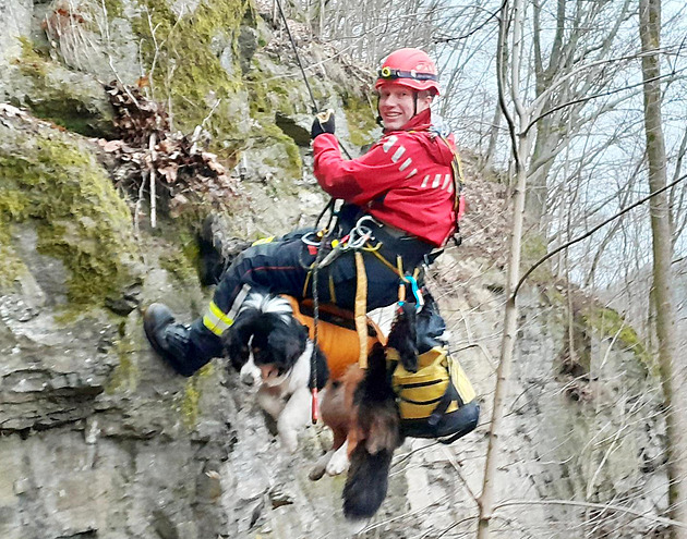 Pes při chytání srny uvázl na skále, z osmimetrové výšky mu pomohli hasiči