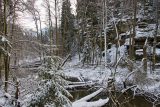 Dokdy bude Peklo u České Lípy nepřístupné? V údolí hrozí pády stromů, které se musí nejprve vykácet