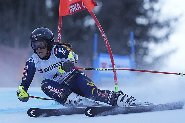 Hectorová suverénně ovládla obří slalom v Kranjské Goře, Jelínková nebodovala