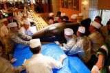 V Japonsku vydražili skoro 280 kilo těžkého tuňáka za miliony jenů, bude z něj sushi