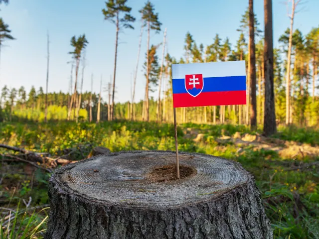 „Nová“ hymna to na Slovensku schytává. Skladatel Rózsa nabízí další dvě verze