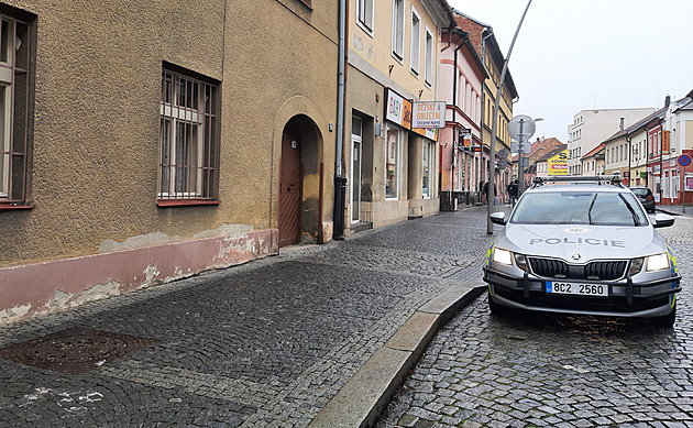 Ležící oběti na hlavu i šlapal, při zadržení měl cizinec ještě na botách krev