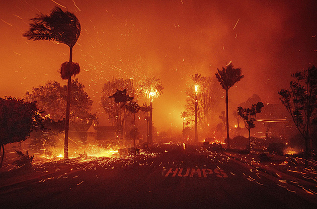 Větrná bouře pohání oheň v Los Angeles. Požár ohrožuje tisíce domů