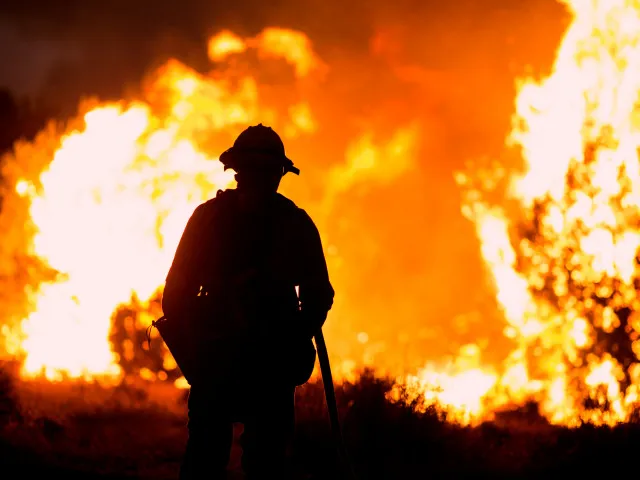 VIDEO: Část Los Angeles zachvátil požár. Děsivý živel ohrožuje ve městě tisíce domů