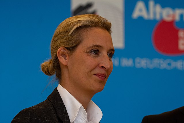 Proti sjezdu AfD demonstrují tisíce lidí, zabránili jeho včasnému začátku