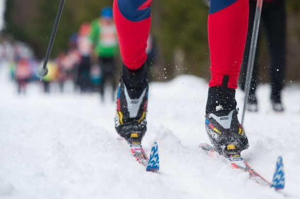 

ON-LINE: Neděle plná zimních sportů – Obří slalom v Adelbodenu vede po prvním kole Meillard

