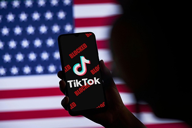 TikTok označuje zprávu, že by jeho část měl získat Elon Musk, za fikci