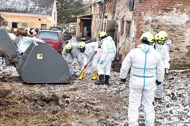 Všude hnůj a výkaly, mršiny mezi harampádím. Hasiči popsali zásah na statku