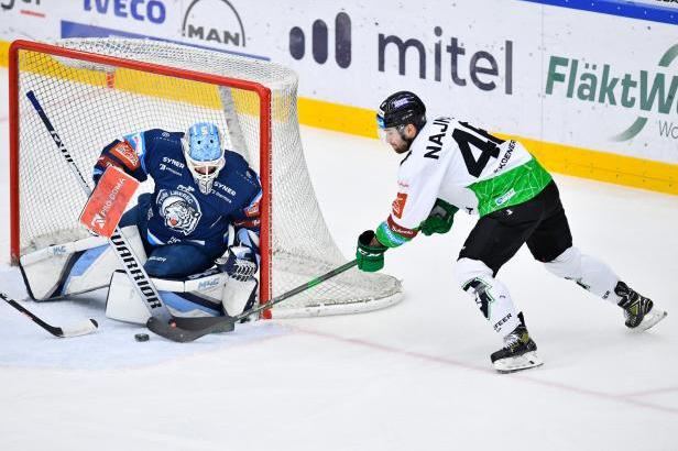 

ŽIVĚ: Hokejová extraliga Mladá Boleslav – Liberec

