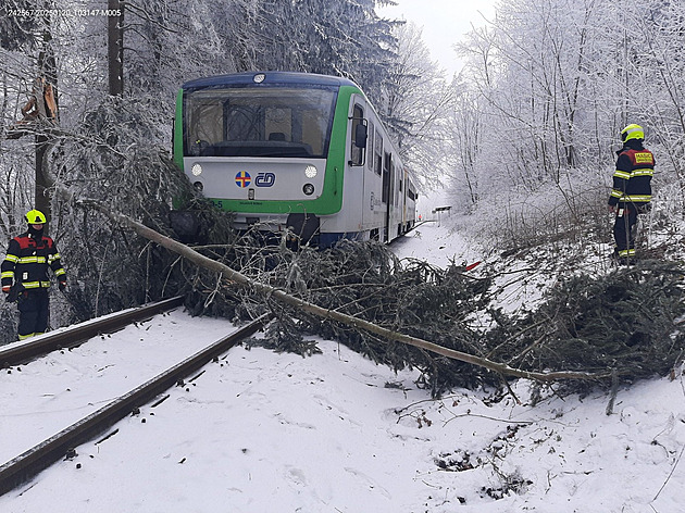 Vlak ve strmém klesání najel do stromu přes koleje, cestu museli uvolnit hasiči