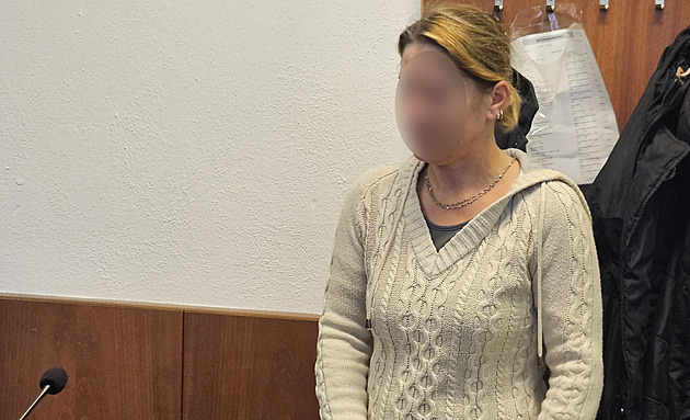 Máchla nožem a trefila partnera do plíce. Nechtěla jsem mu ublížit, řekla u soudu