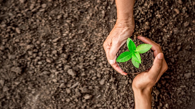 Raiffeisenbank měří klientům uhlíkovou stopu. Na jejich přání, tvrdí banka