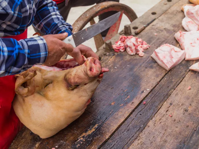 Sněmovna schválila komerční rituální porážky a zavádí povinné kamery na jatkách