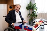 Zeman se neodvolal v případu se Šarapatkou. Musí se omluvit a zaplatit 50 tisíc