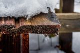 Pětina meteorologických stanic v Česku naměřila v sobotu teplotní rekord. Na Šumavě bylo 17,8 stupně