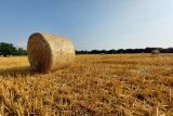 Podpořili jsme středně velké zemědělce, hlásí ministr. ‚Dotace jsou nastavené špatně,‘ zlobí se malí farmáři