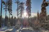 Teplotní rekordy padly na deseti stanicích, v Jablunkově bylo 11 stupňů