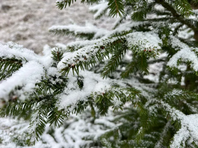 O víkendu se ochladí. V noci bude mrznout