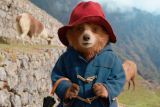 Medvídek Paddington se vydal do džungle. Potká tam Antonia Banderase a padá do průměru rodinné zábavy