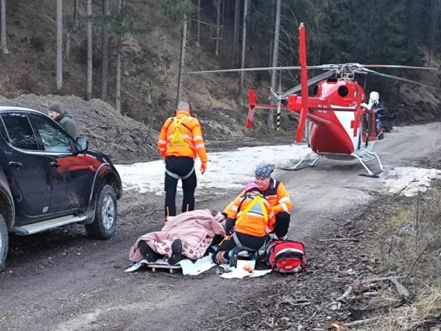 Medvěd na Slovensku opět napadl člověka. Muže zachraňoval vrtulník