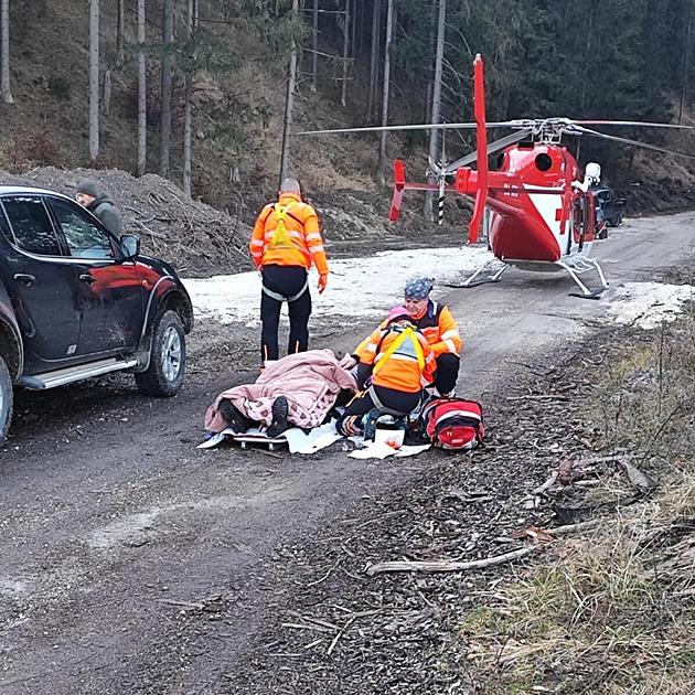 Muže na Slovensku napadl medvěd. Vážně mu potrhal ruce, nohy i krk