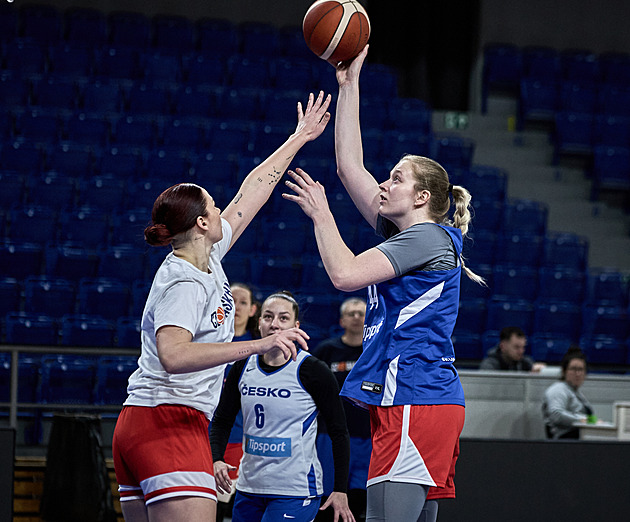 Aspoň jednu výhru, přeje si Ptáčková. Basketbalistky okusí halu pro ME