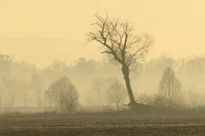 O víkendu mají být srážky jen výjimečně