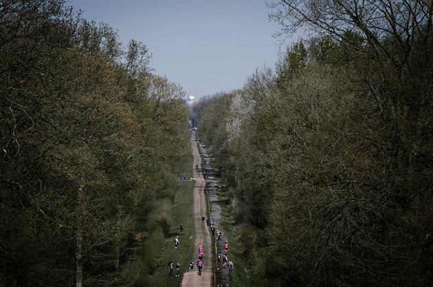 Pogačar nečekaně trénoval na kostkách Paříž – Roubaix. Nejezdi, prosí ho soupeři