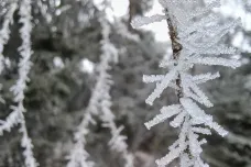 Přijdou mrazy, v noci může být až minus 13 stupňů